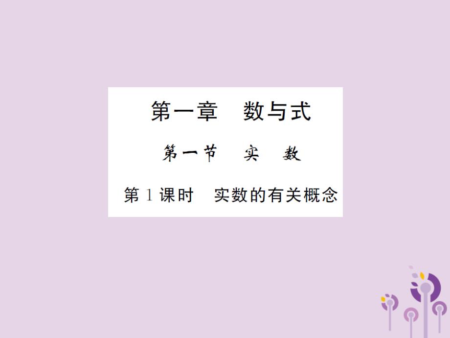 2019届中考数学总复习 第一章 数与式 第一节 实数 第1课时 实数的有关概念课件_第1页