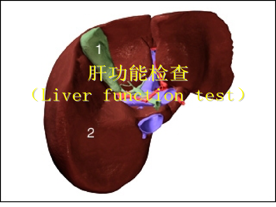 肝脏疾病常用检查_第1页
