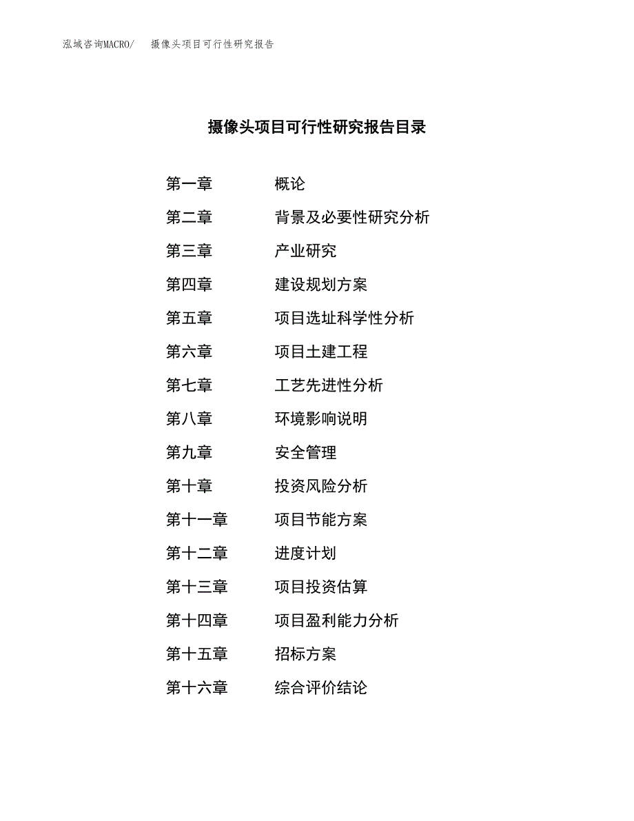 摄像头项目可行性研究报告_范文.docx_第2页