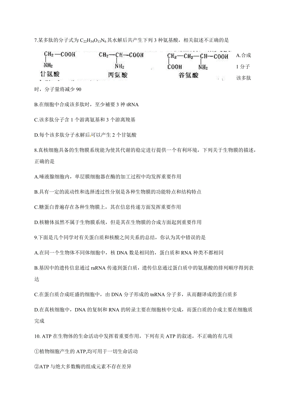 山东省济宁第二中学2019届高三上学期第二次质量检测生物试题（含答案）_第3页