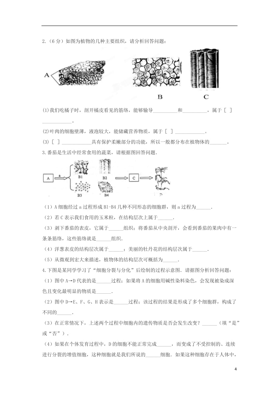 七年级生物上册 2.2.2动物体的结构层次练习题（无答案）（新版）新人教版_第4页