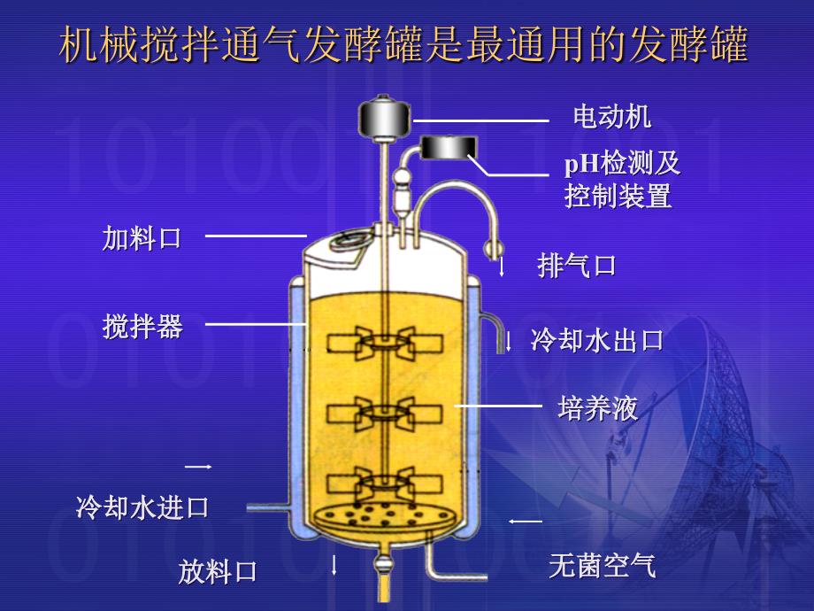 发酵五六七八章10-20_第4页