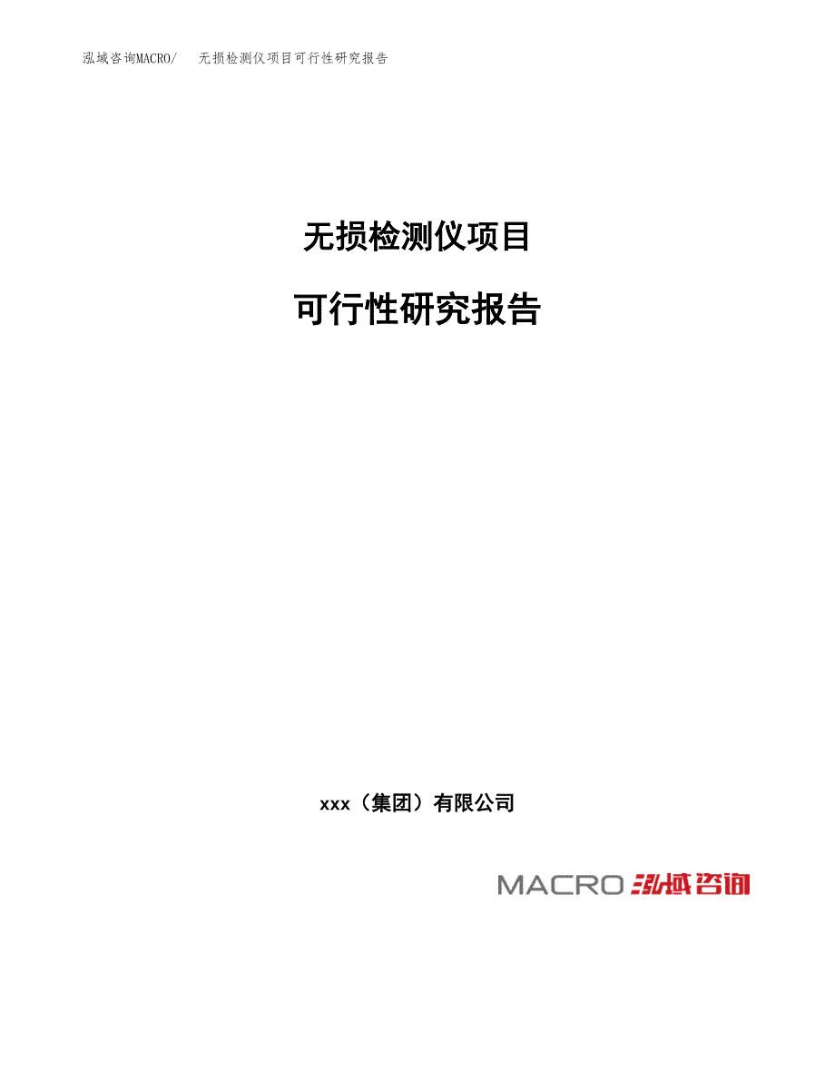 无损检测仪项目可行性研究报告_范文.docx_第1页