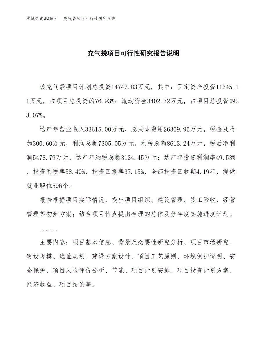 充气袋项目可行性研究报告[参考范文].docx_第2页