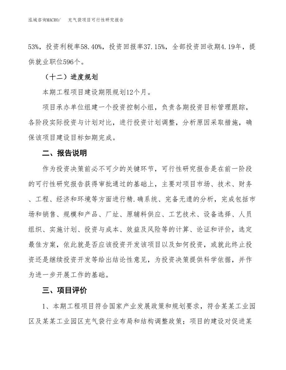 充气袋项目可行性研究报告[参考范文].docx_第5页