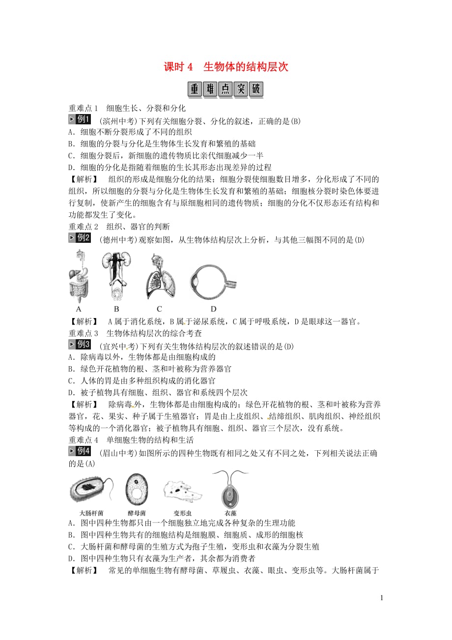 2019年中考生物总复习 主题二 生物体的结构层次 课时4 生物体的结构层次_第1页