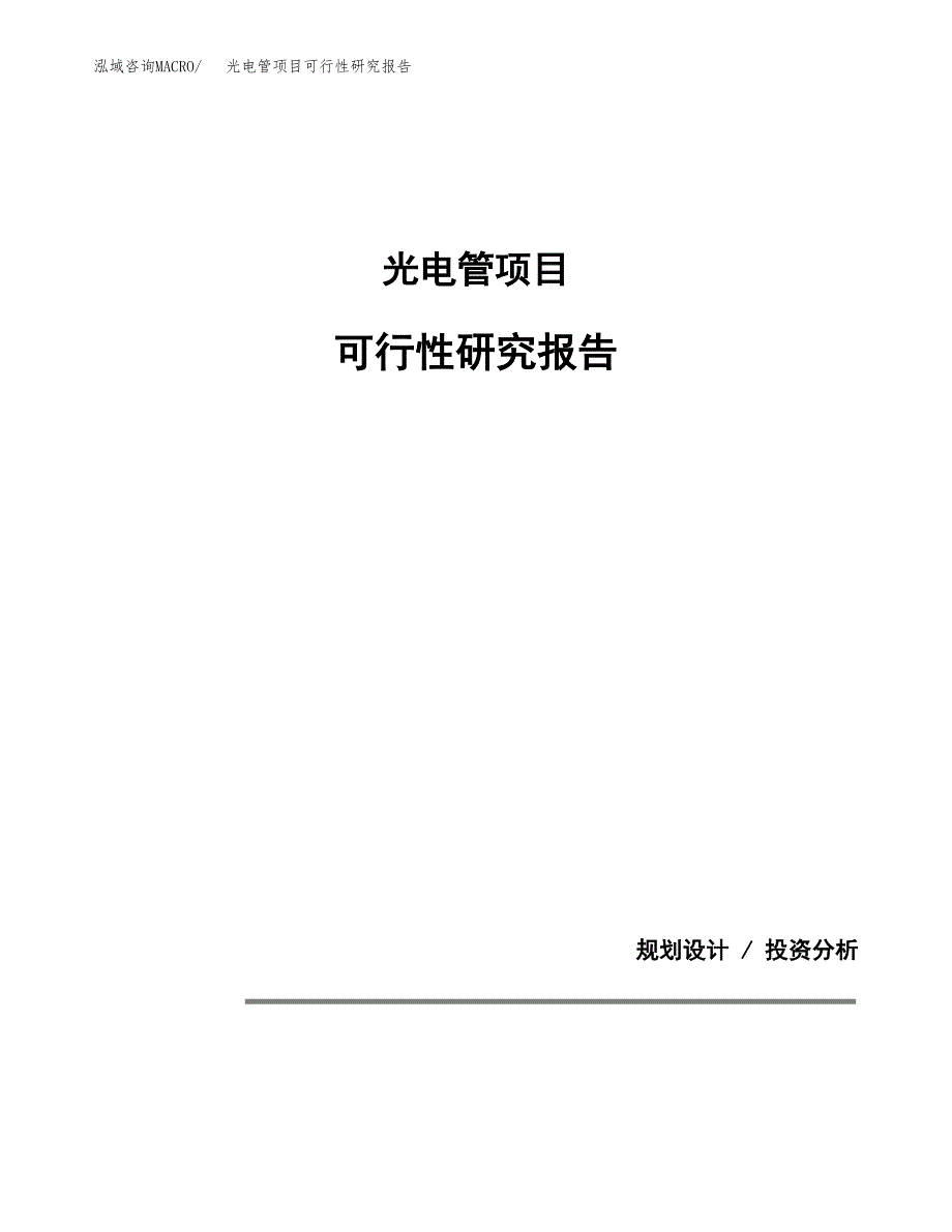 光电管项目可行性研究报告[参考范文].docx_第1页