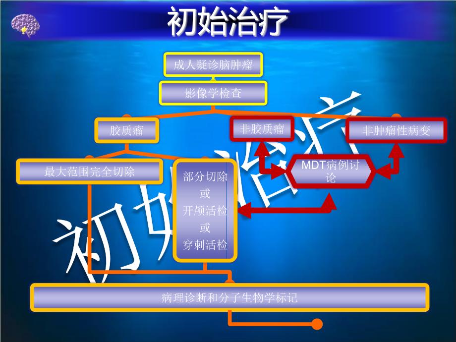 中国中枢神经系统胶质瘤诊断与治疗指南_第2页