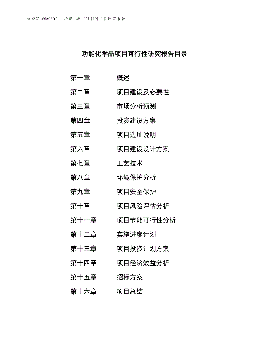 功能化学品项目可行性研究报告_范文.doc_第2页