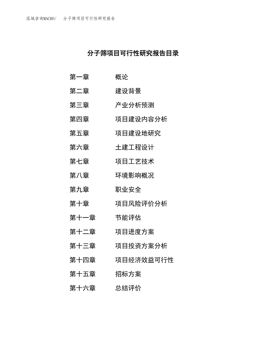 分子筛项目可行性研究报告_范文.docx_第2页