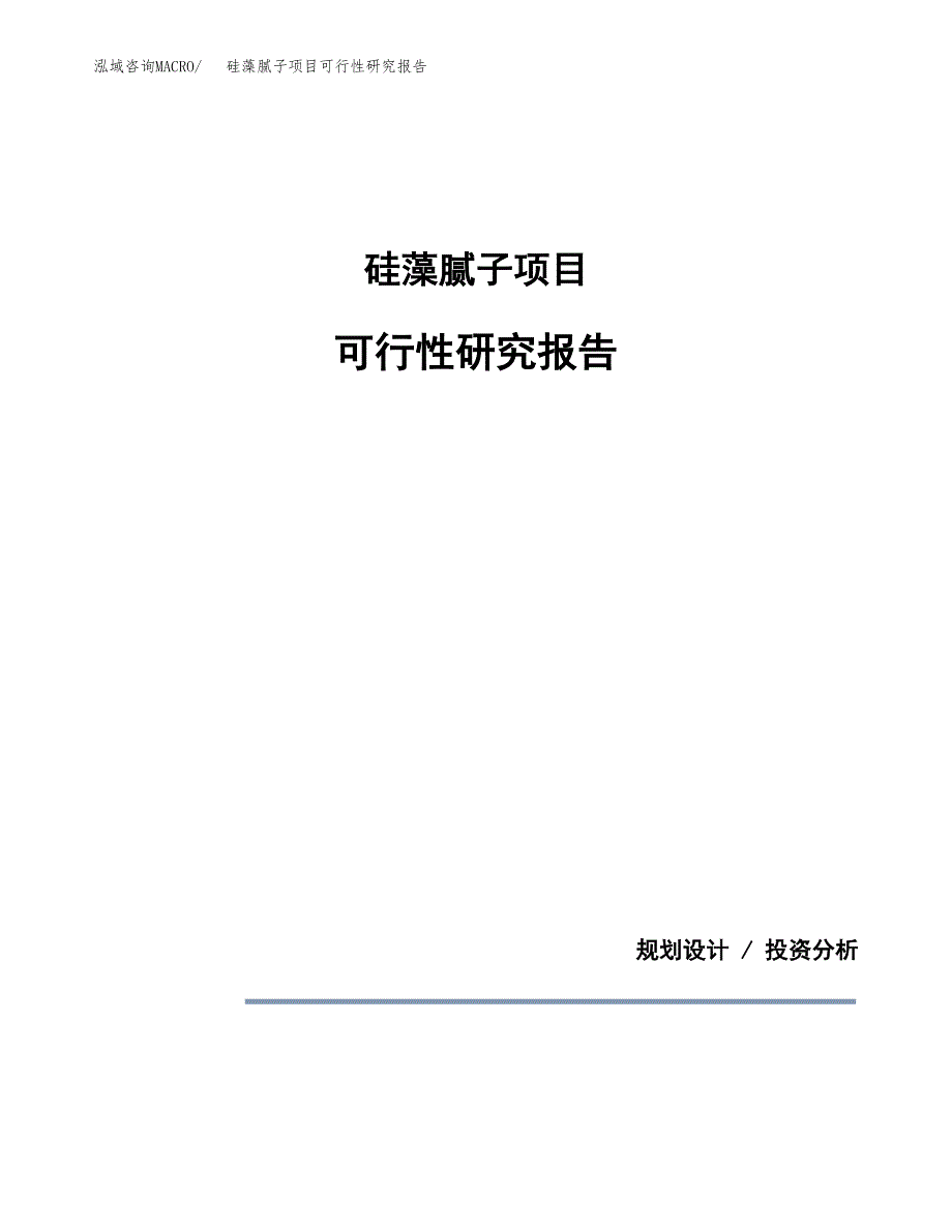 硅藻腻子项目可行性研究报告[参考范文].docx_第1页