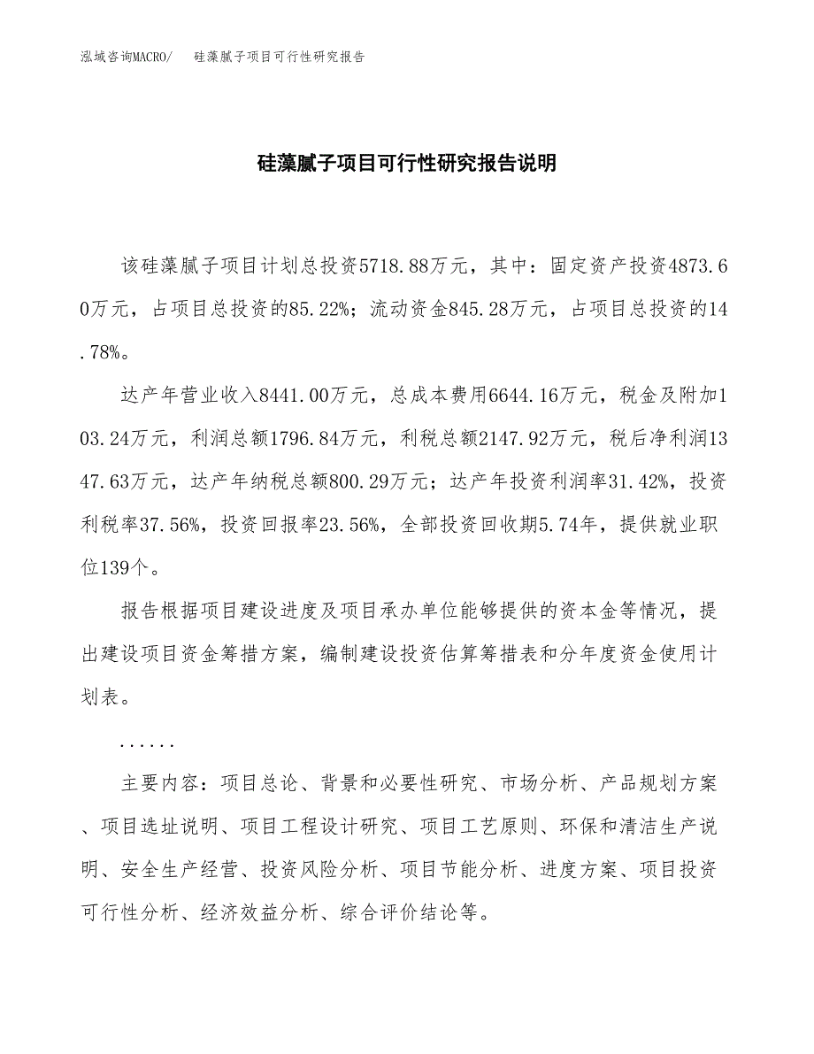 硅藻腻子项目可行性研究报告[参考范文].docx_第2页