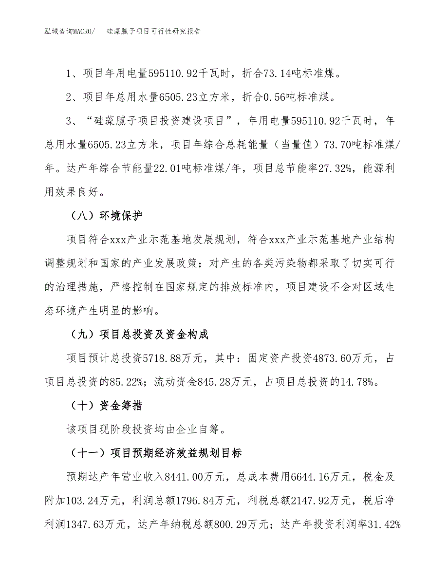 硅藻腻子项目可行性研究报告[参考范文].docx_第4页