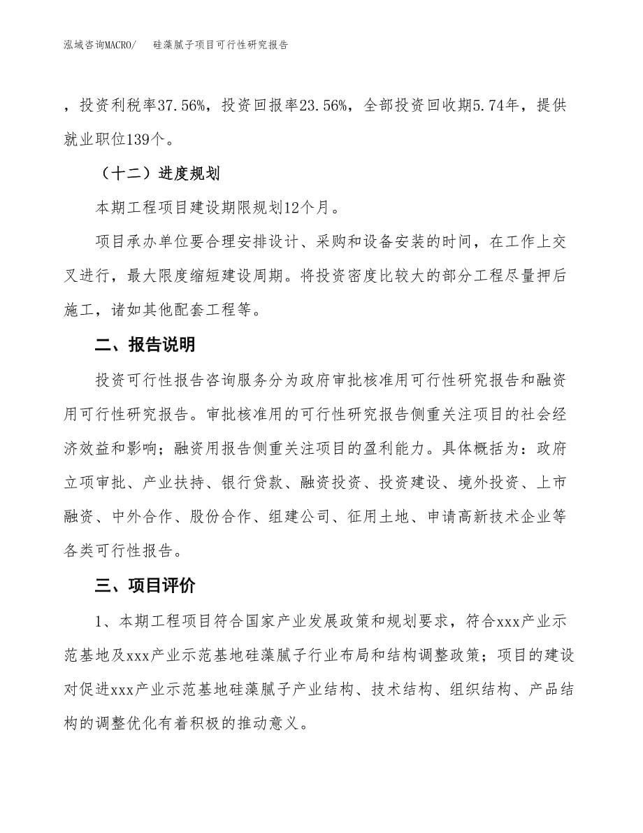 硅藻腻子项目可行性研究报告[参考范文].docx_第5页