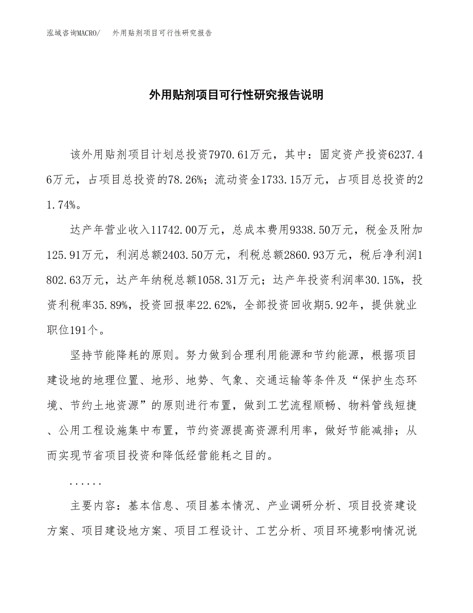 外用贴剂项目可行性研究报告[参考范文].docx_第2页