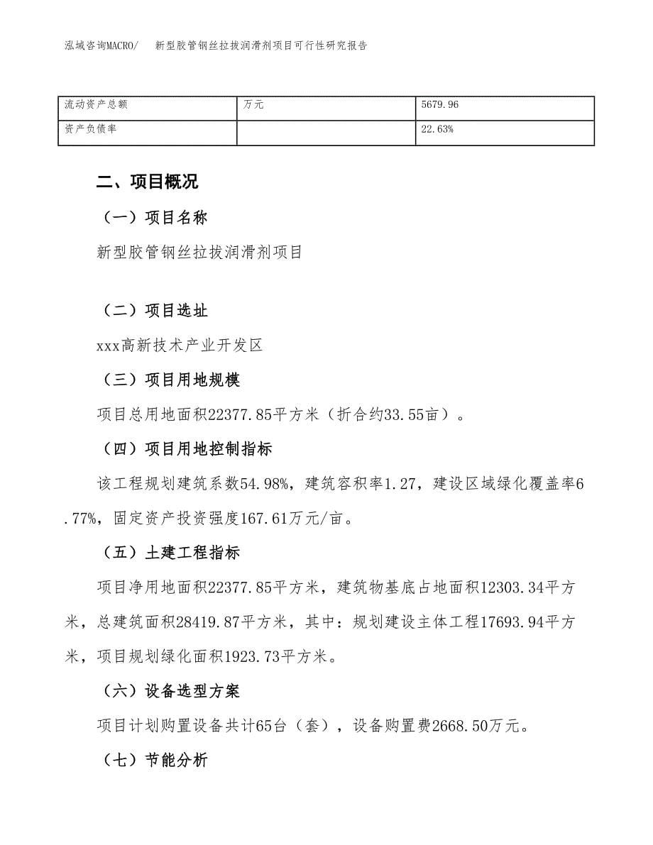 新型胶管钢丝拉拔润滑剂项目可行性研究报告_范文.docx_第5页