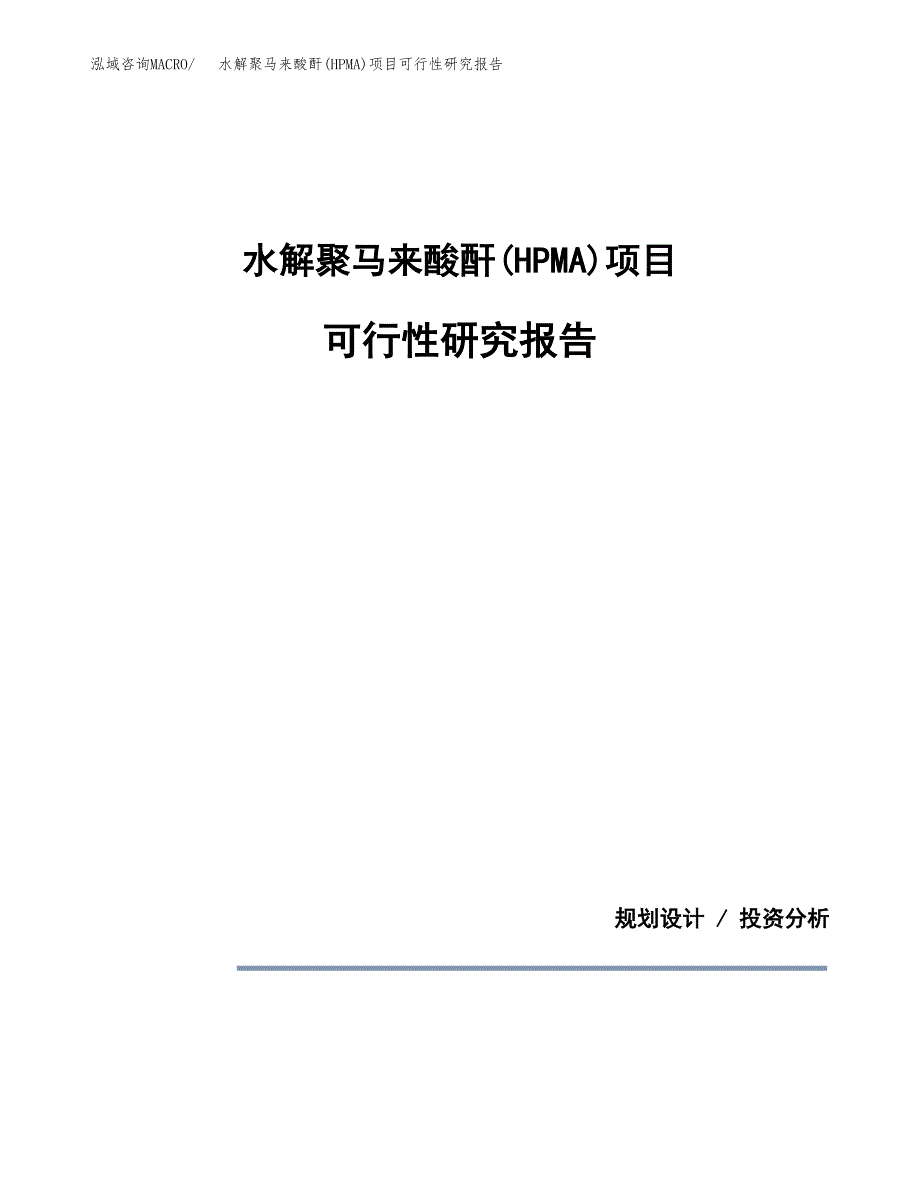 水解聚马来酸酐(HPMA)项目可行性研究报告[参考范文].docx_第1页