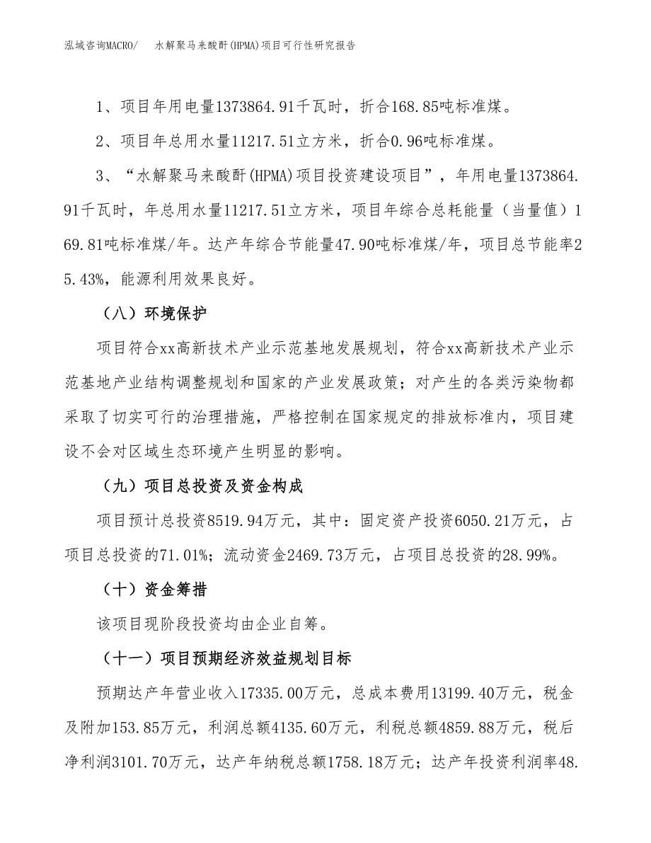 水解聚马来酸酐(HPMA)项目可行性研究报告[参考范文].docx_第5页