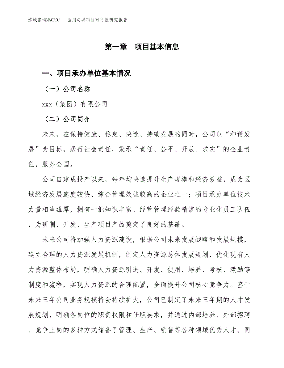 医用灯具项目可行性研究报告_范文.docx_第3页