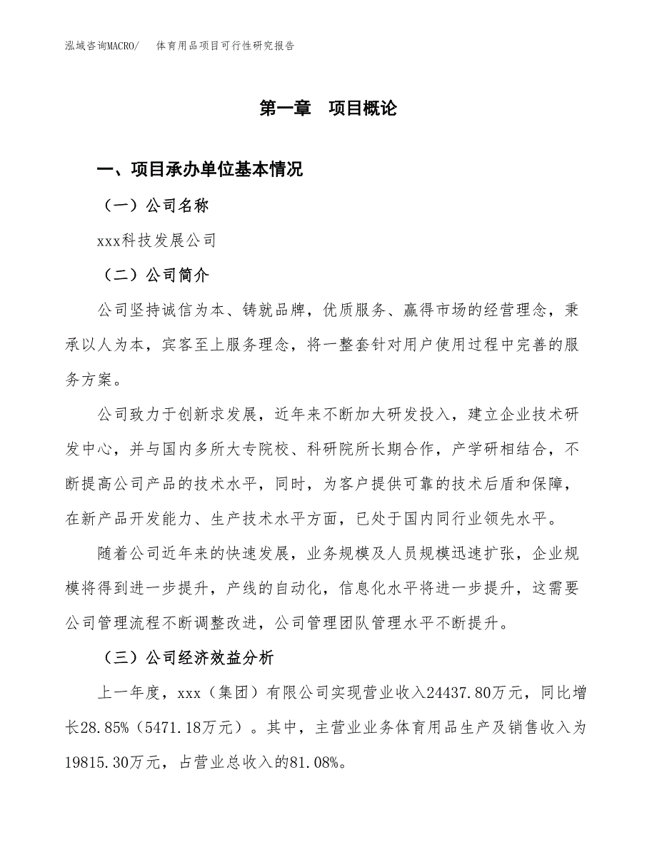 体育用品项目可行性研究报告_范文.docx_第3页