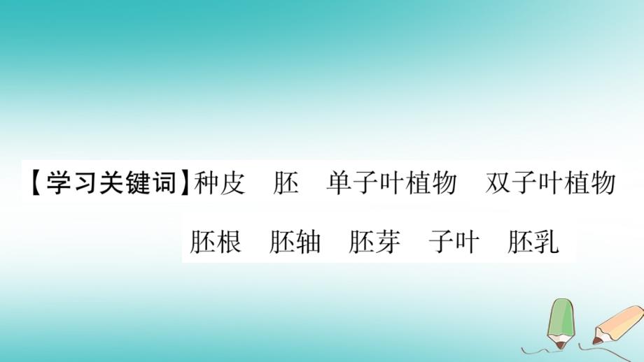 2018秋七年级生物上册 第三单元 第6章 第1节 种子萌发形成幼苗（第1课时）习题课件 （新版）北师大版_第2页