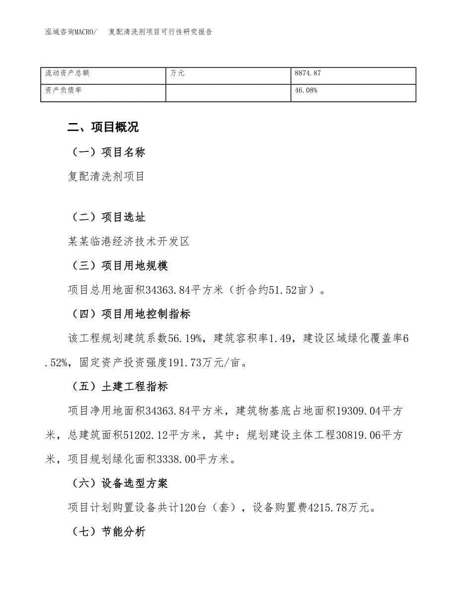 复配清洗剂项目可行性研究报告_范文.docx_第5页