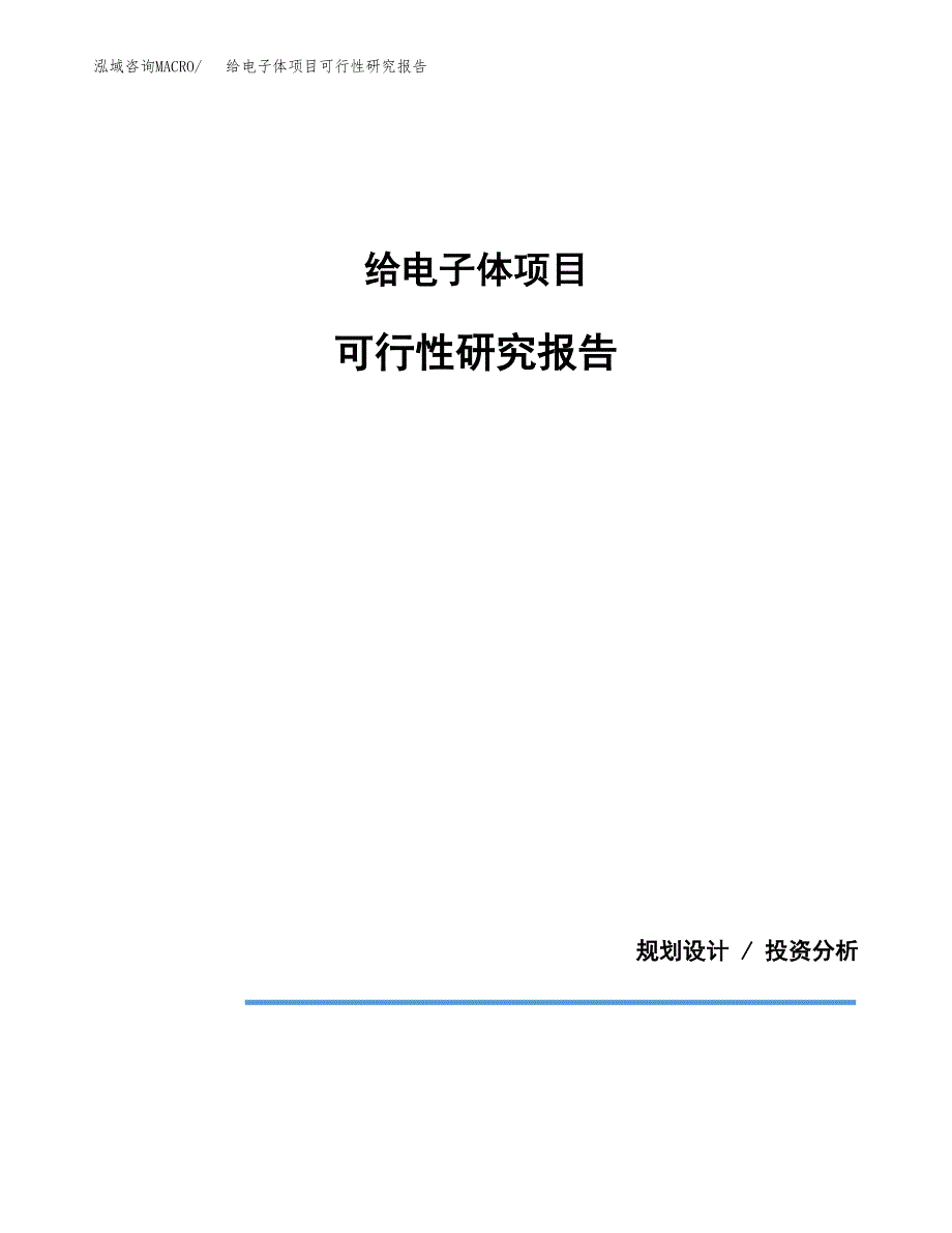 给电子体项目可行性研究报告[参考范文].docx_第1页