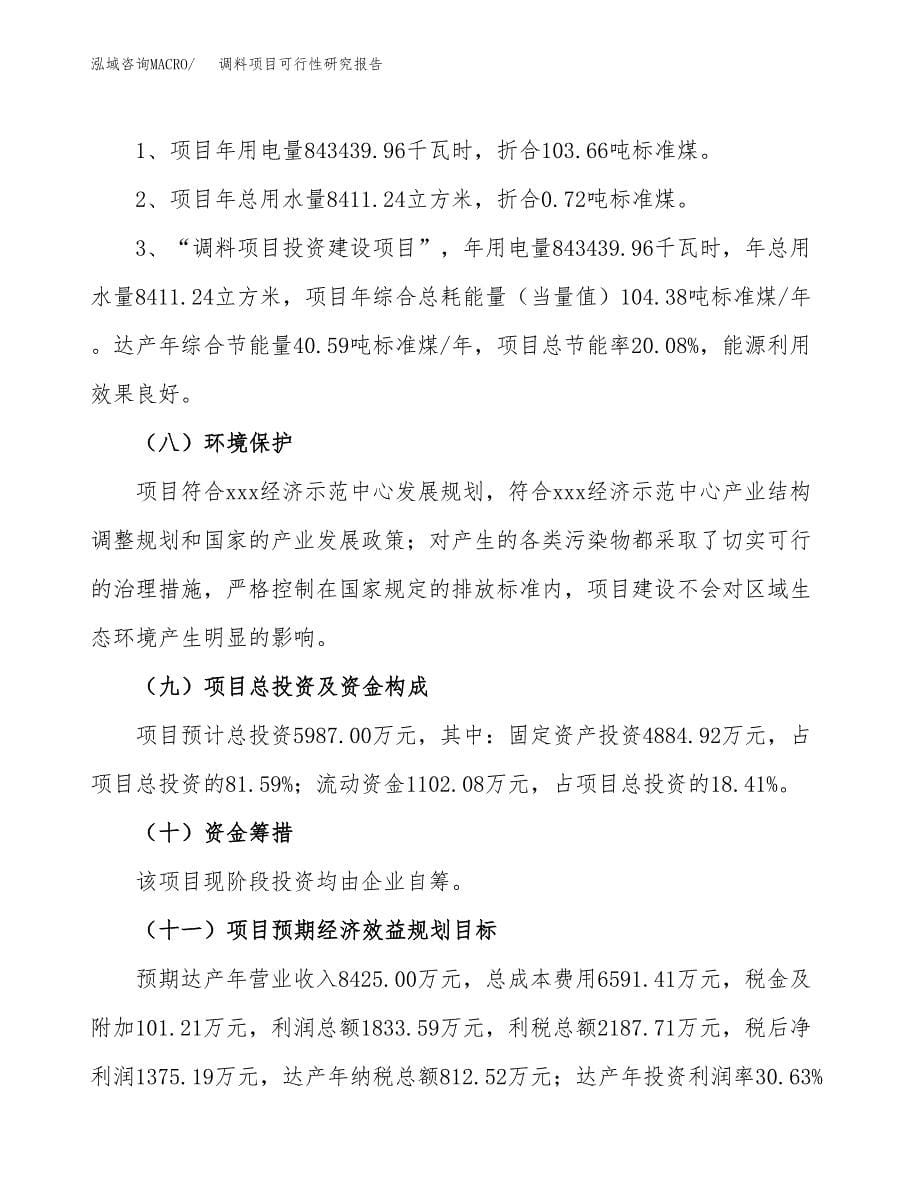 调料项目可行性研究报告[参考范文].docx_第5页