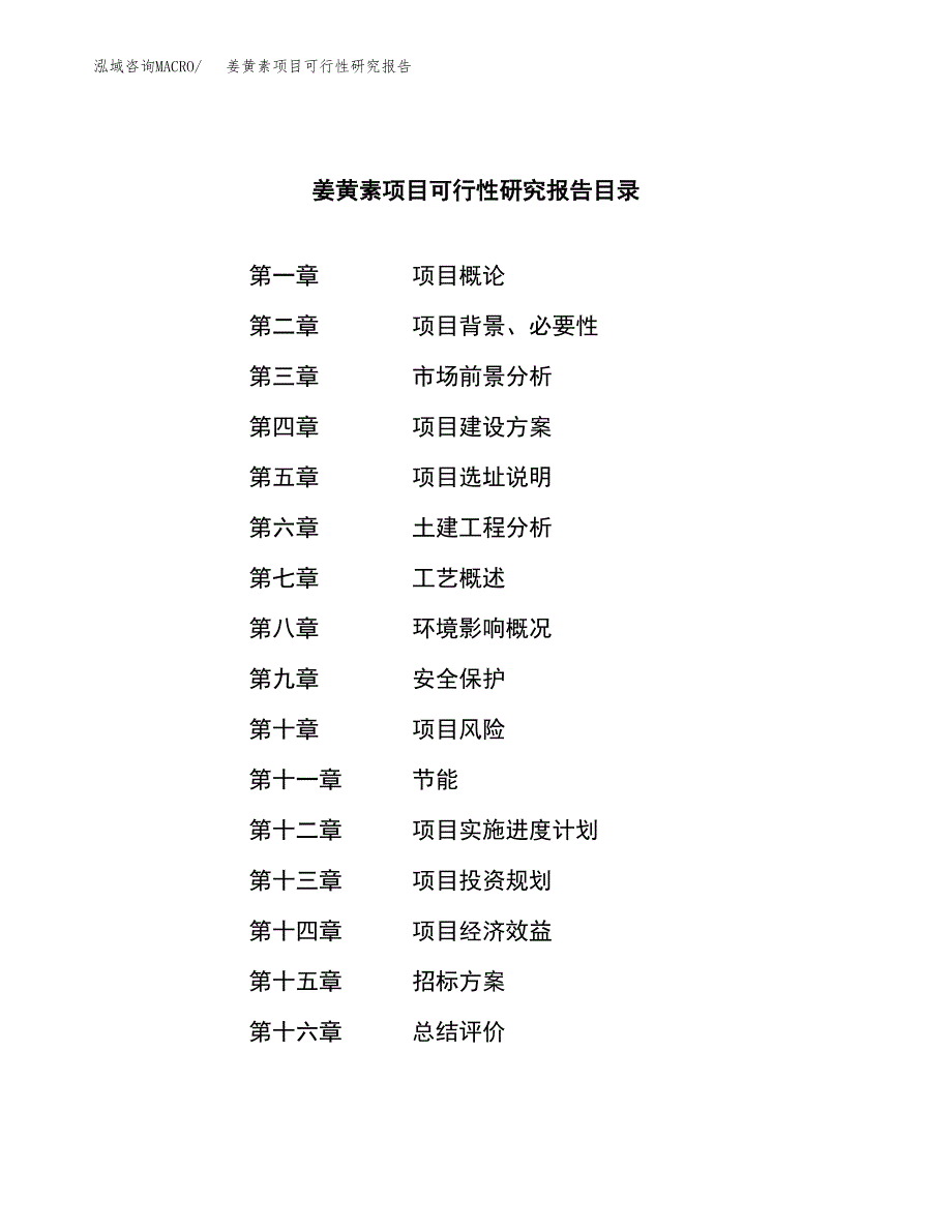 姜黄素项目可行性研究报告_范文.docx_第2页