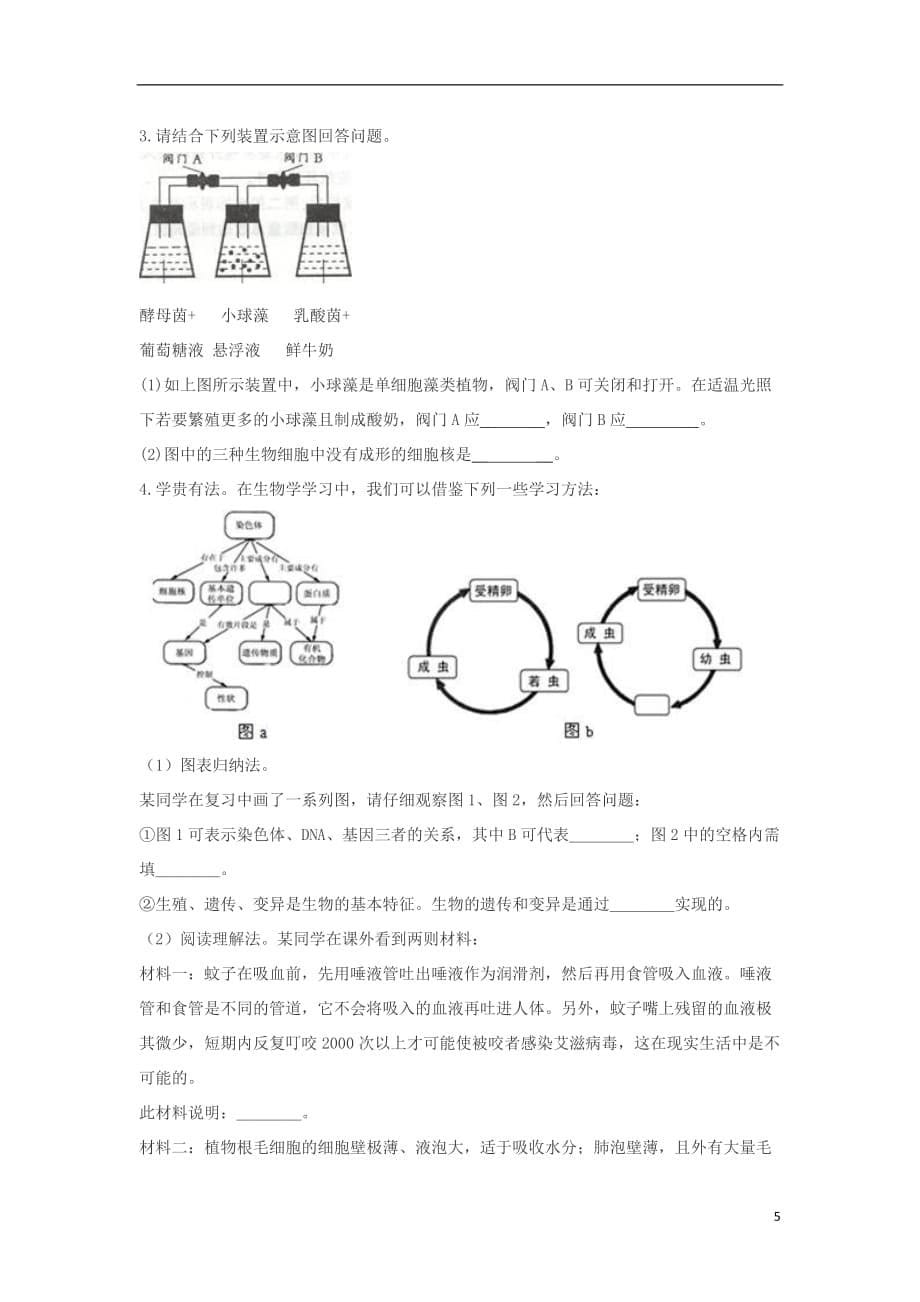 七年级生物上册 3.1.1藻类、苔藓和蕨类植物练习题（无答案）（新版）新人教版_第5页