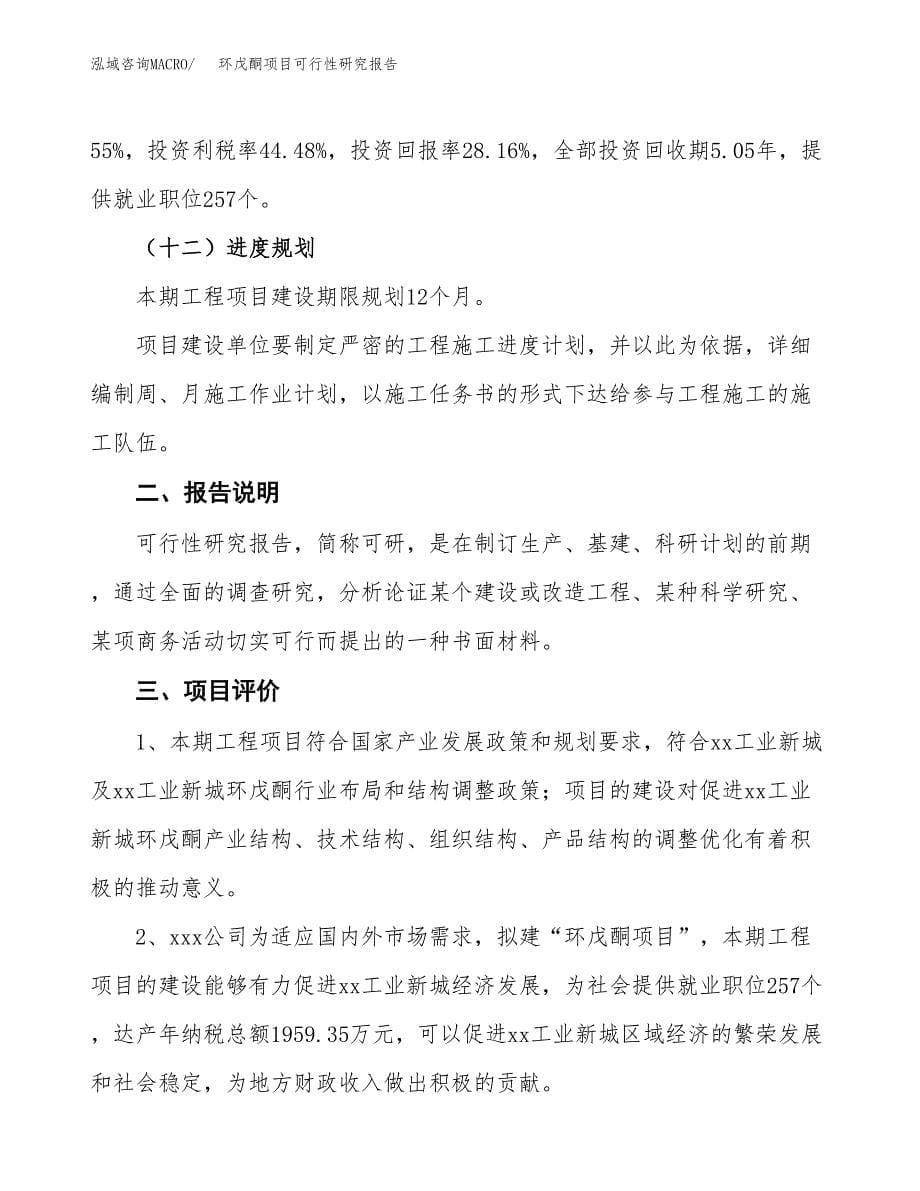 环戊酮项目可行性研究报告[参考范文].docx_第5页