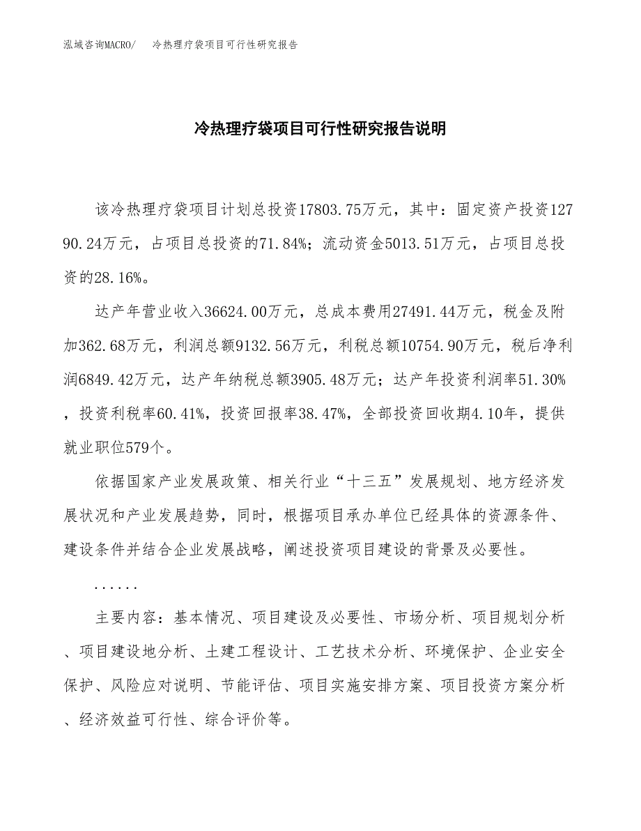 冷热理疗袋项目可行性研究报告[参考范文].docx_第2页