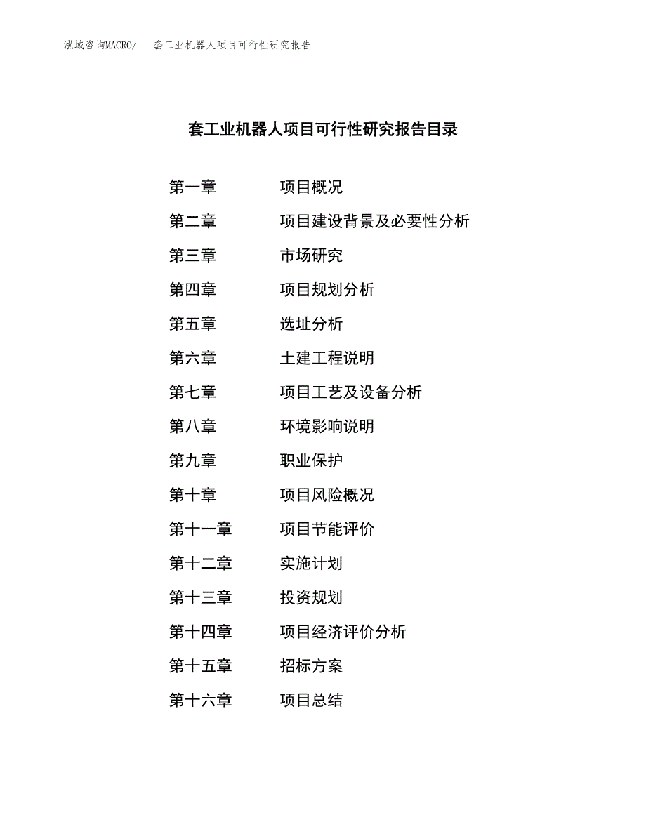 套工业机器人项目可行性研究报告_范文.docx_第2页