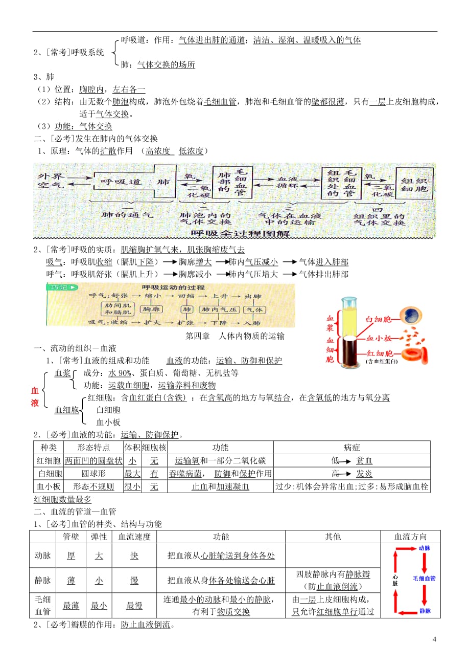 2017-2018七年级生物下册 知识点总结 （新版）新人教版_第4页