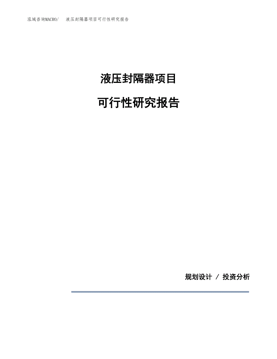 液压封隔器项目可行性研究报告[参考范文].docx_第1页