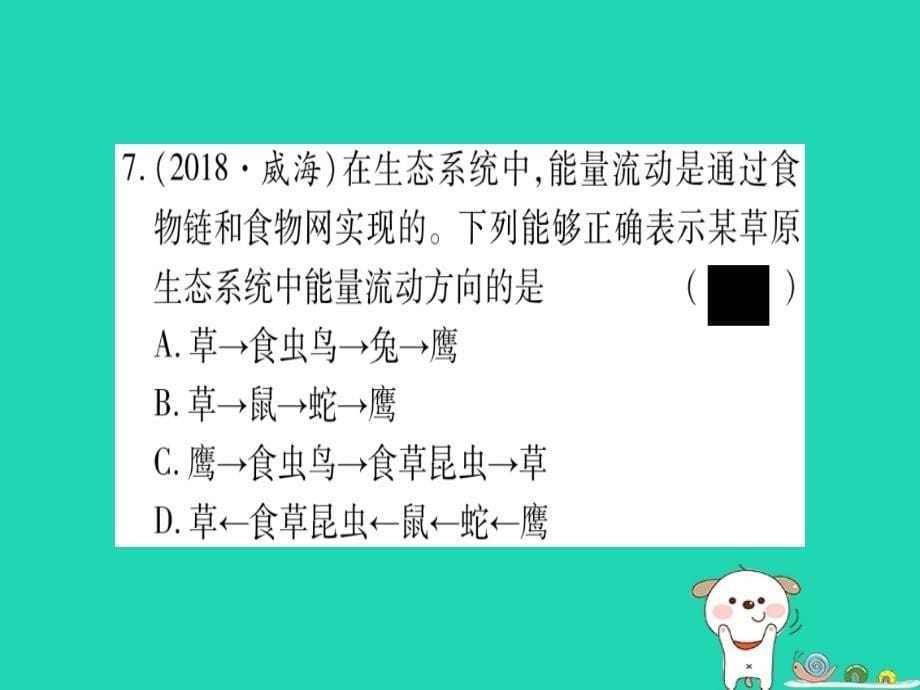 2019年中考生物 第7单元 生物与环境复习习题课件 冀教版_第5页