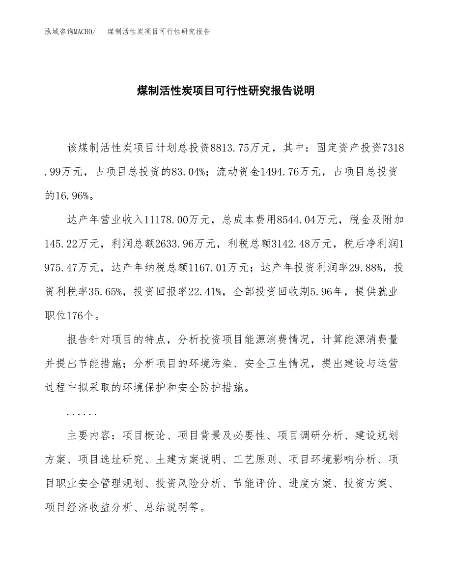 煤制活性炭项目可行性研究报告[参考范文].docx_第2页