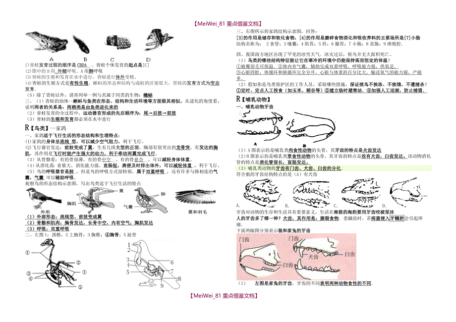 【9A文】最新人教版八上生物简答看图题_第3页