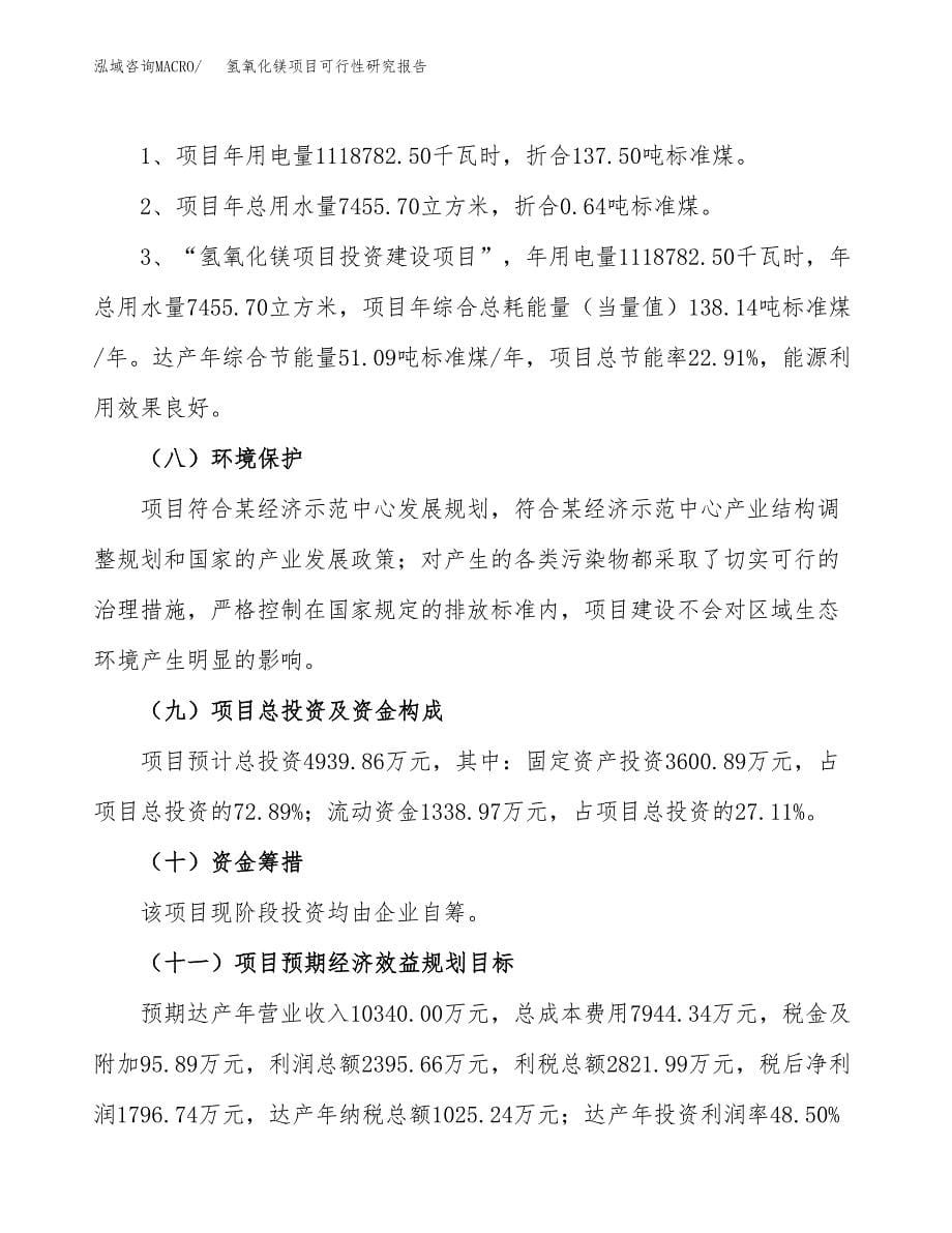 氢氧化镁项目可行性研究报告[参考范文].docx_第5页