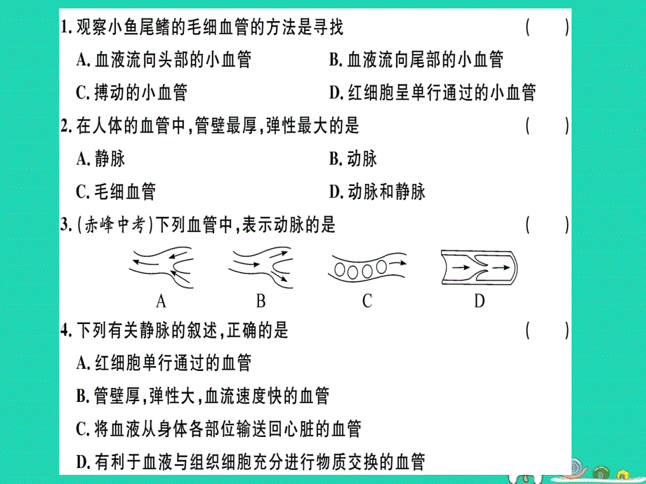 2019七年级生物下册 第四单元 第四章 第二节 血液的管道&mdash;&mdash;血管习题课件 （新版）新人教版_第4页