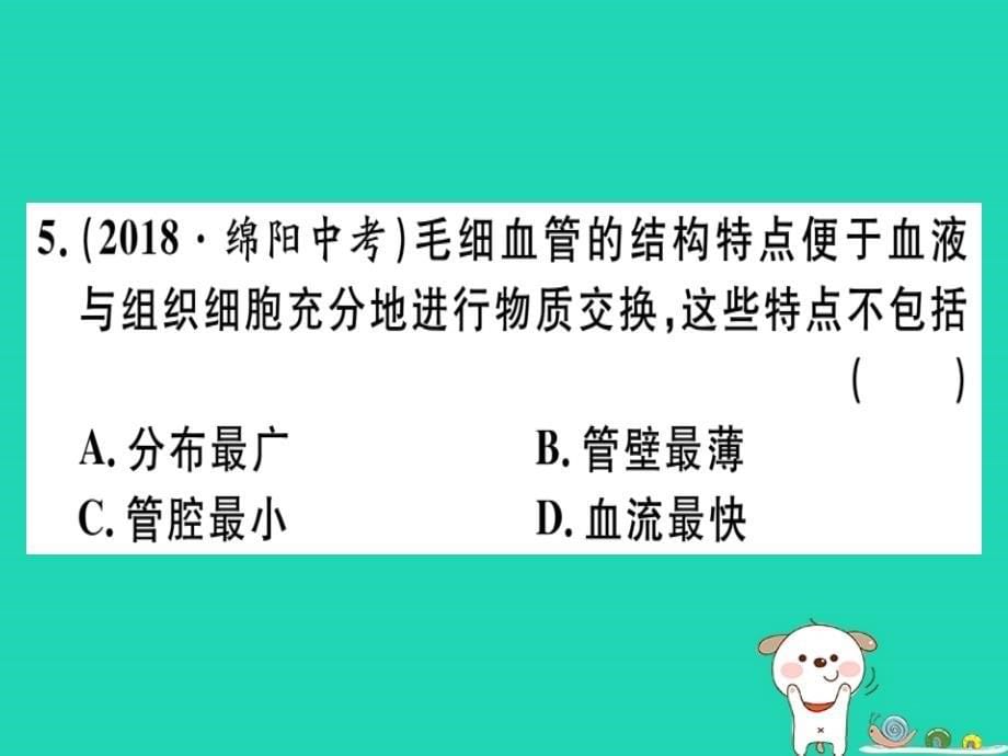 2019七年级生物下册 第四单元 第四章 第二节 血液的管道&mdash;&mdash;血管习题课件 （新版）新人教版_第5页