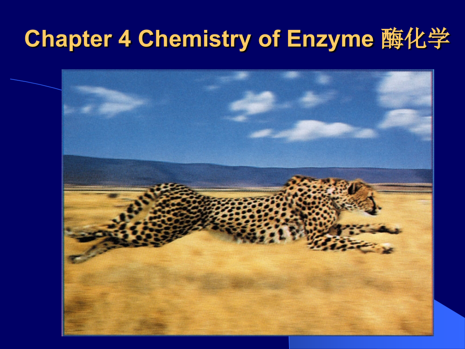 四-chemistry-of-enzyme_第1页