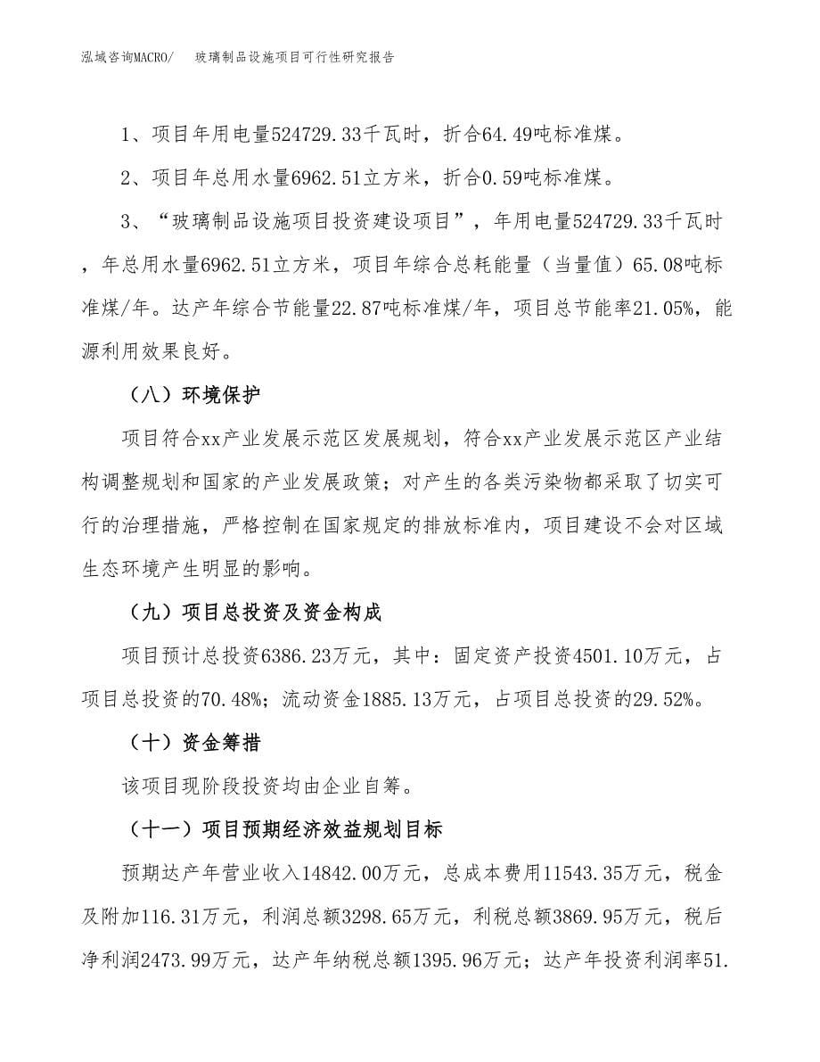 玻璃制品设施项目可行性研究报告[参考范文].docx_第5页