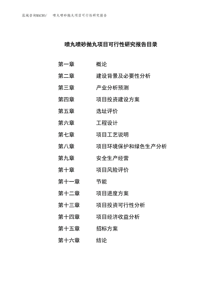 喷丸喷砂抛丸项目可行性研究报告_范文.docx_第2页