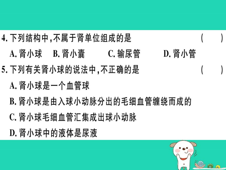 2019七年级生物下册 第四单元 第五章 人体内废物的排出检测卷课件 （新版）新人教版_第3页