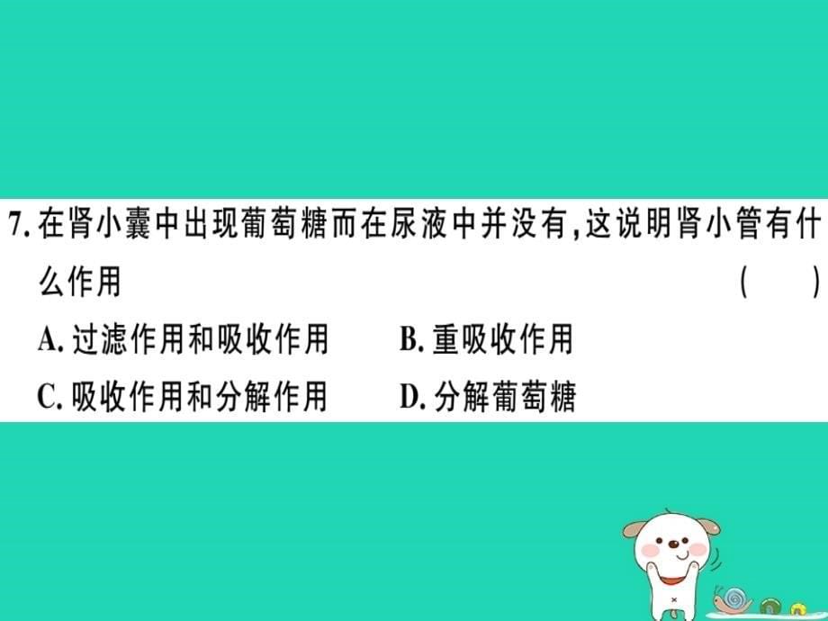 2019七年级生物下册 第四单元 第五章 人体内废物的排出检测卷课件 （新版）新人教版_第5页