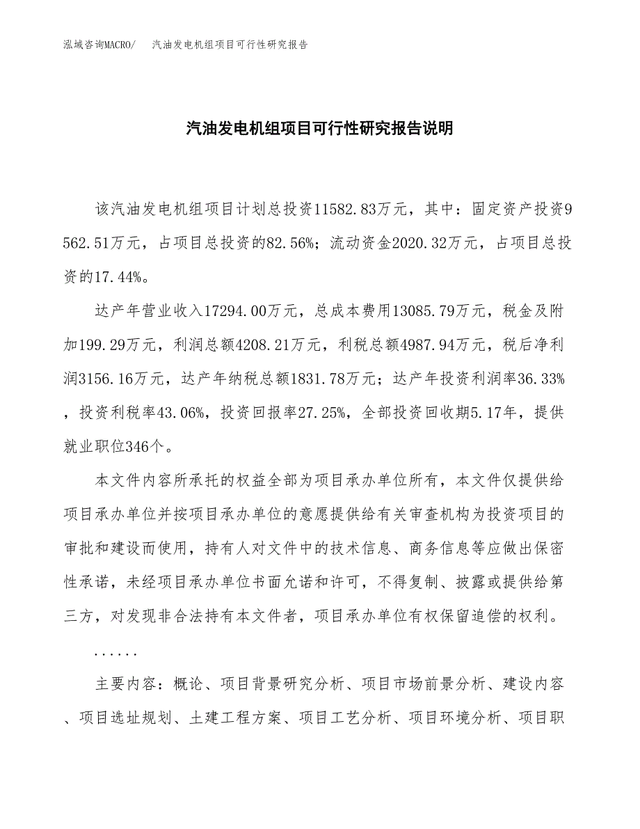 汽油发电机组项目可行性研究报告[参考范文].docx_第2页