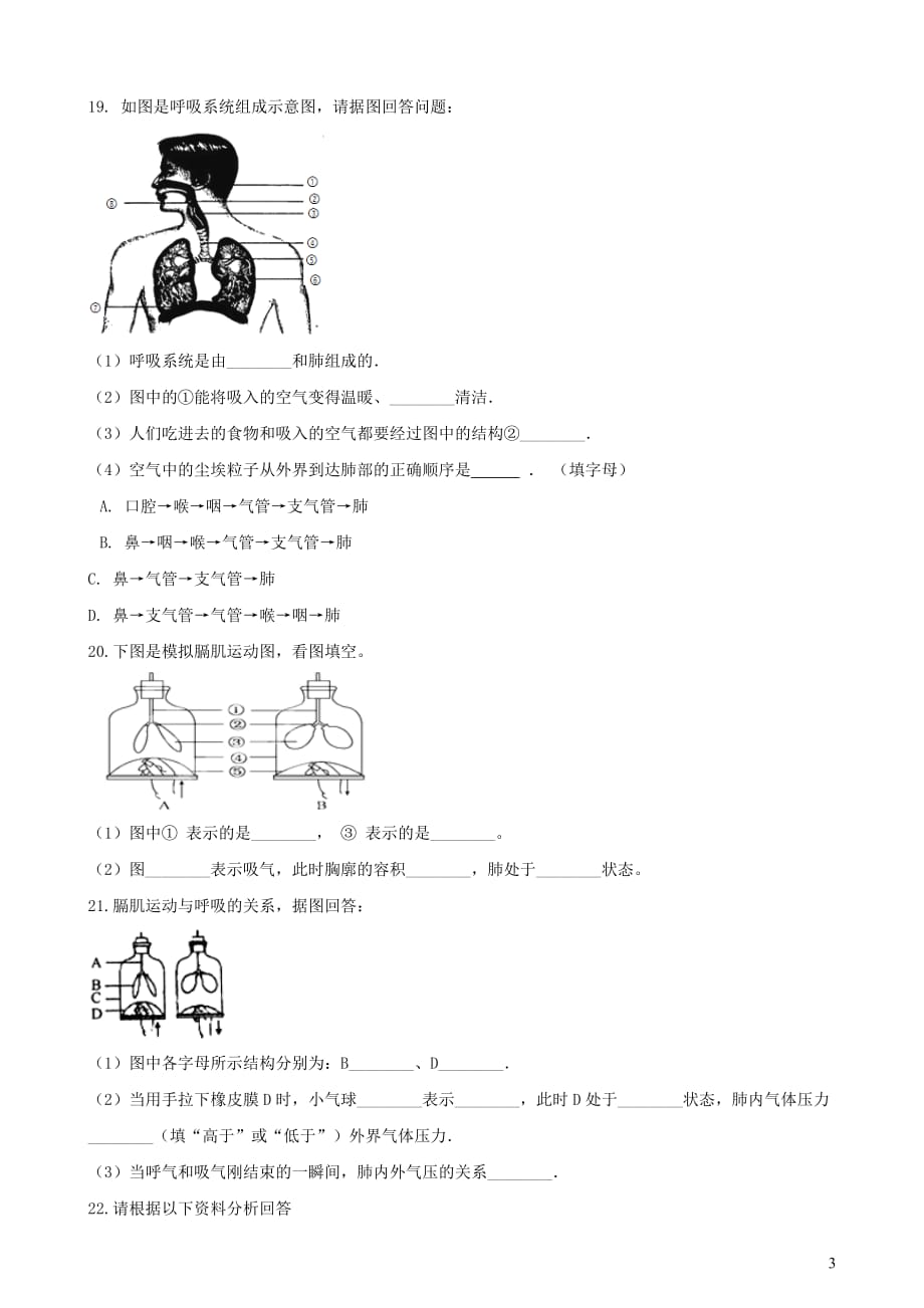 2019年中考生物 人体的呼吸专题复习（无答案）_第3页