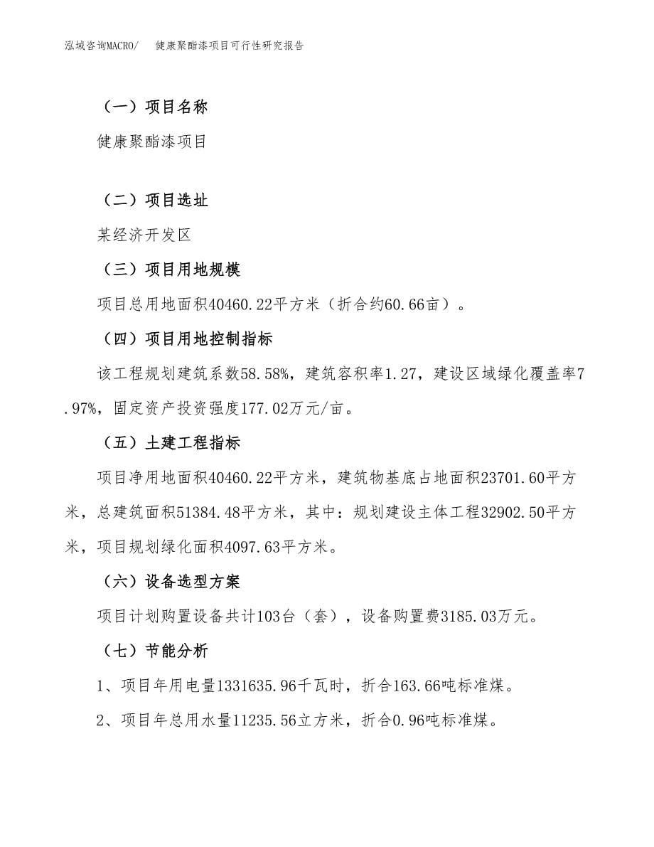 健康聚酯漆项目可行性研究报告_范文.docx_第5页