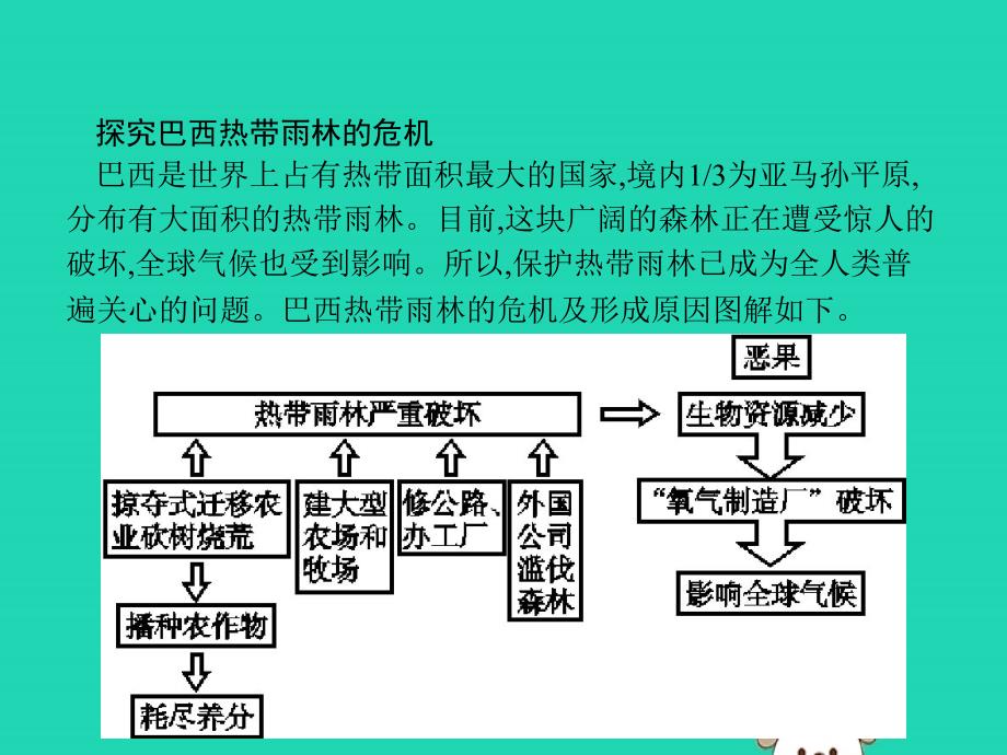 2019年春七年级地理下册 第9章 西半球的国家 第2节 巴西 第2课时 热带雨林的开发与保护课件 （新版）新人教版_第4页